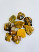 Load image into Gallery viewer, Lion King Jasper Tumbled Stone TB087 x 1
