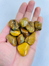 Load image into Gallery viewer, Lion King Jasper Tumbled Stone TB087 x 1
