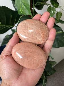 Peach Moonstone Palm Stone Natural (XL) x 1