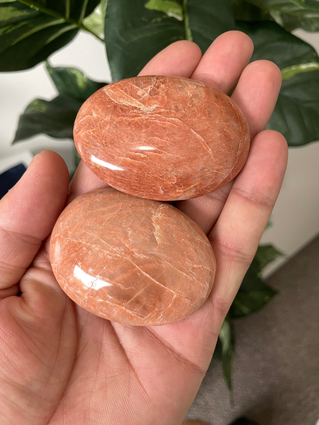 Peach Moonstone Palm Stone Natural (M) x 1 PS014