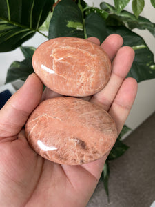 Peach Moonstone Palm Stone Natural (L) x 1