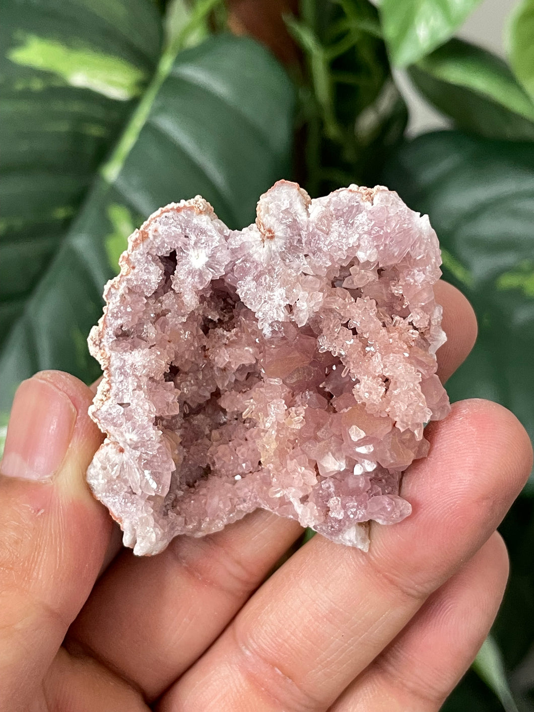 Pink Amethyst Geode PA035