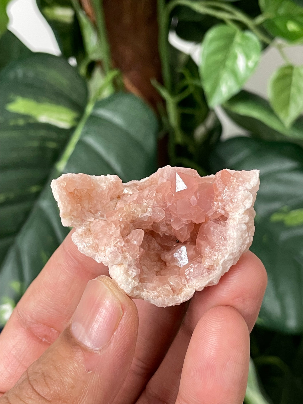 Pink Amethyst Geode PA036