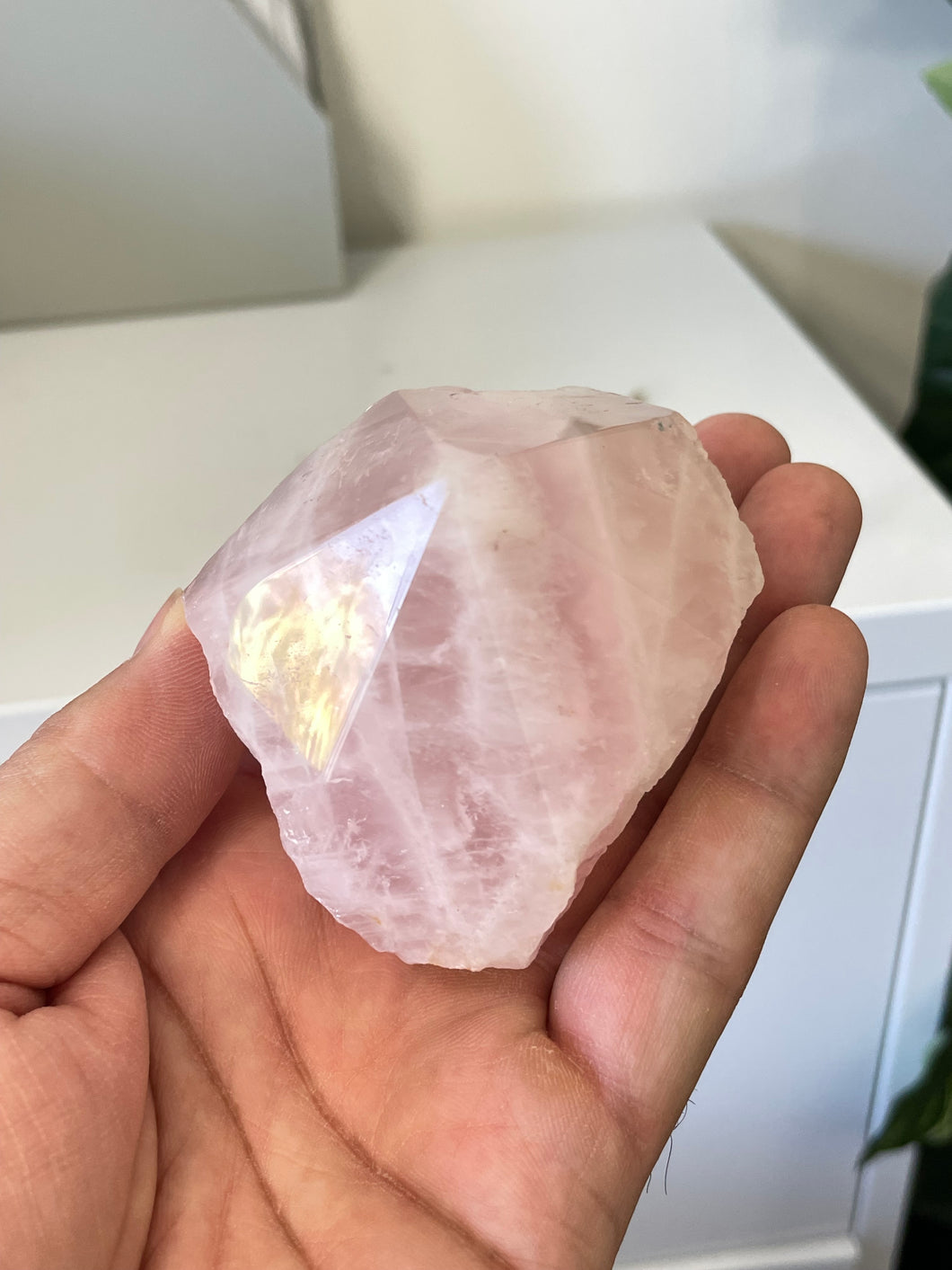 Rose Quartz Crystal Point Free Standing T951