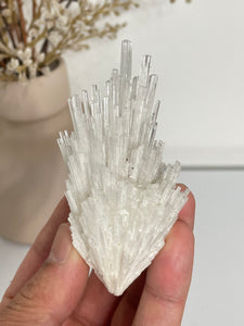 Scolecite Spray Natural Crystal cluster SC077