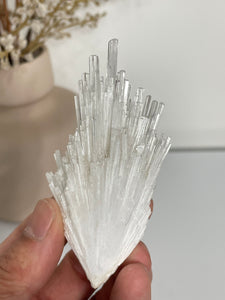 Scolecite Spray Natural Crystal cluster SC077