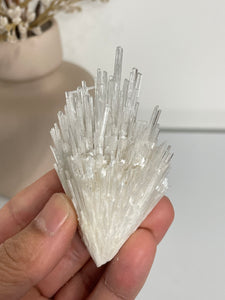 Scolecite Spray Natural Crystal cluster SC078