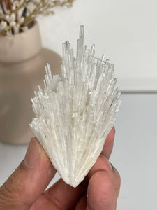 Scolecite Spray Natural Crystal cluster SC078