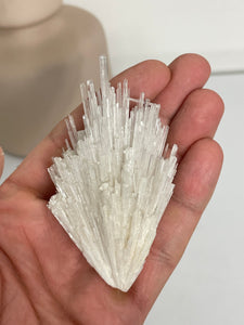 Scolecite Spray Natural Crystal cluster SC078