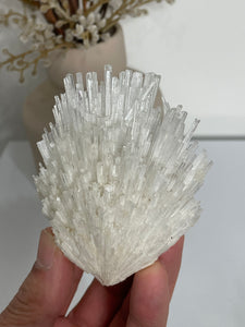 Scolecite Spray Natural Crystal cluster SC089