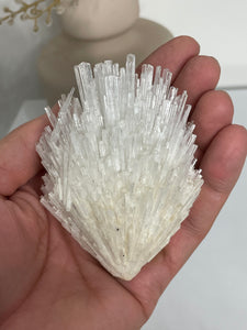 Scolecite Spray Natural Crystal cluster SC089