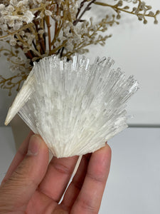 Scolecite Spray Natural Crystal cluster SC090