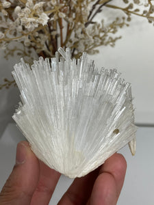 Scolecite Spray Natural Crystal cluster SC090