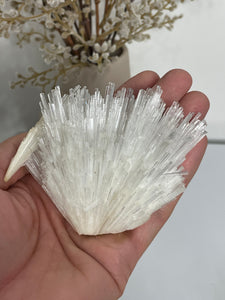 Scolecite Spray Natural Crystal cluster SC090