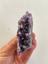 Load image into Gallery viewer, Dark Uruguayan Amethyst Natural Cluster A104
