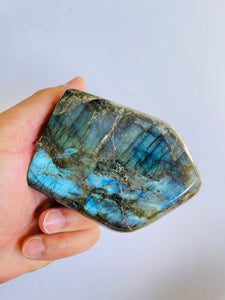 Blue Labradorite Free Form LA100