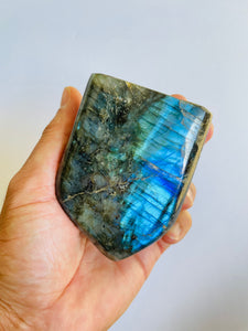 Blue Labradorite Free Form LA100