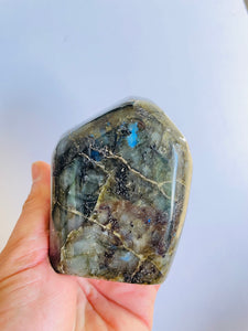 Blue Labradorite Free Form LA100