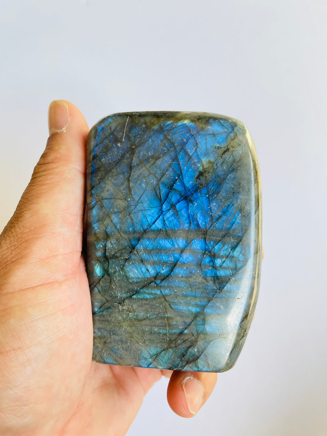 Blue Labradorite Free Form LA101