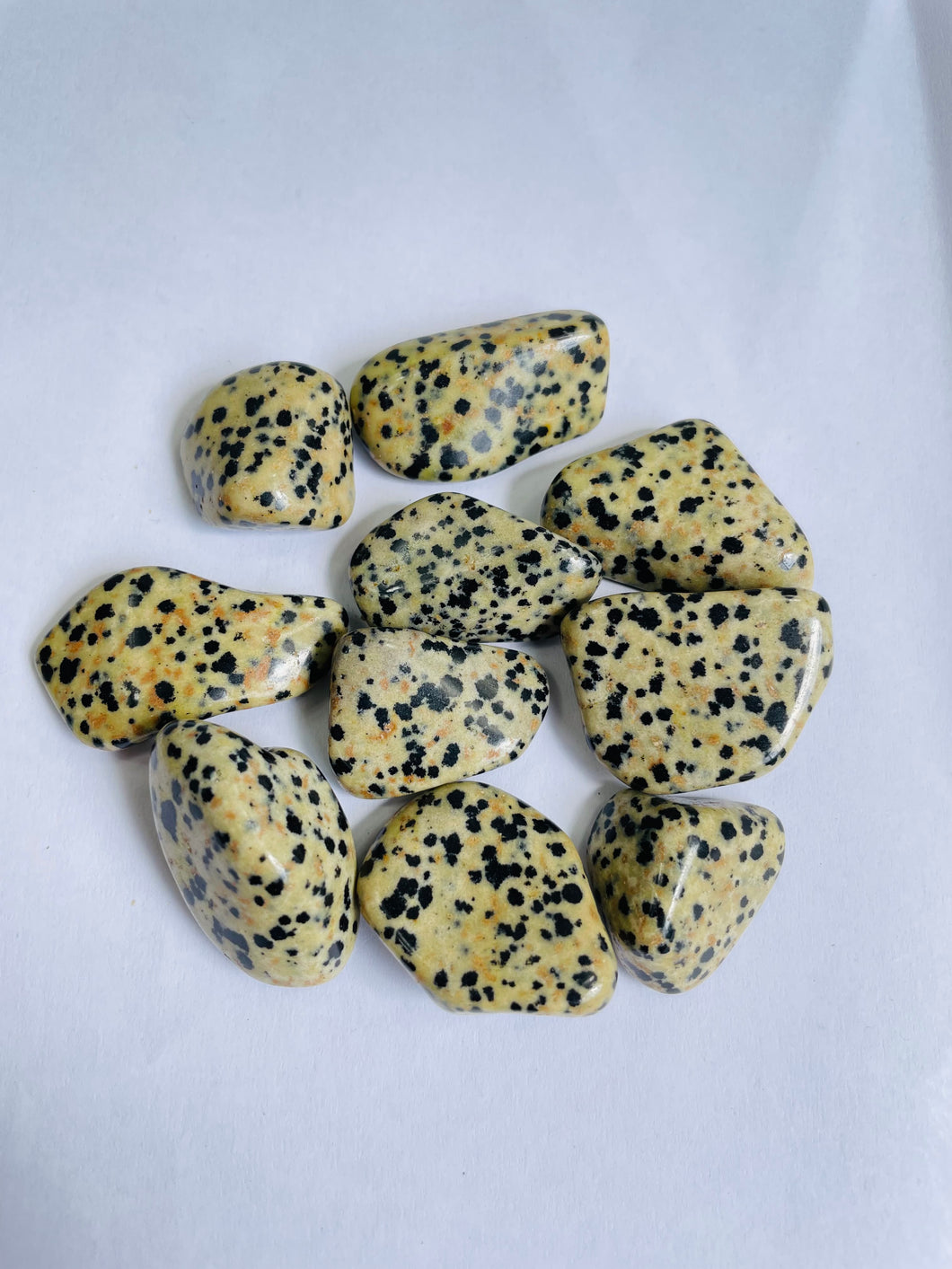 Dalmatian Jasper Stone Tumbled Stones TB062 x 1