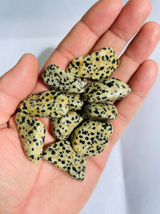 Dalmatian Jasper Stone Tumbled Stones TB062 x 1