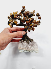 Load image into Gallery viewer, Tiger Eye Gem Tree/Crystal Tree (M) 12 branches, 60 Crystals TR027
