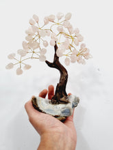 Load image into Gallery viewer, Rose Quartz Gem Tree/Crystal Tree (M) 12 branches, 60 CrystalsTR034
