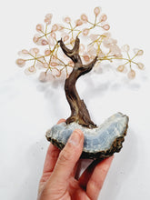 Load image into Gallery viewer, Rose Quartz Gem Tree/Crystal Tree (M) 12 branches, 60 CrystalsTR034
