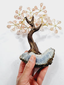 Rose Quartz Gem Tree/Crystal Tree (M) 12 branches, 60 CrystalsTR034