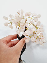 Load image into Gallery viewer, Rose Quartz Gem Tree/Crystal Tree (M) 12 branches, 60 CrystalsTR034
