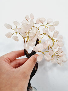 Rose Quartz Gem Tree/Crystal Tree (M) 12 branches, 60 CrystalsTR034