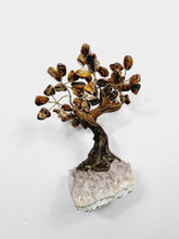 Load image into Gallery viewer, Tiger Eye Gem Tree/Crystal Tree (M) 12 branches, 60 Crystals TR027
