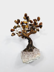 Tiger Eye Gem Tree/Crystal Tree (M) 12 branches, 60 Crystals TR027