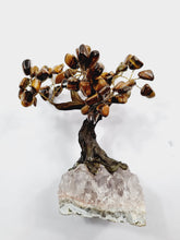 Load image into Gallery viewer, Tiger Eye Gem Tree/Crystal Tree (M) 12 branches, 60 Crystals TR027
