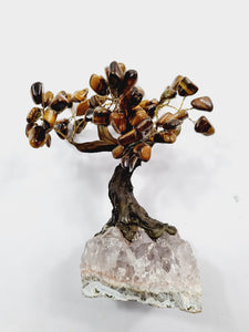 Tiger Eye Gem Tree/Crystal Tree (M) 12 branches, 60 Crystals TR027