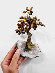 Tiger Eye Gem Tree/Crystal Tree (M) 12 branches, 60 Crystals TR028