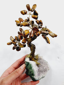 Tiger Eye Gem Tree/Crystal Tree (M) 12 branches, 60 Crystals TR028