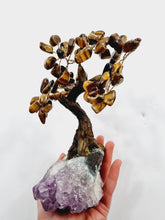 Load image into Gallery viewer, Tiger Eye Gem Tree/Crystal Tree (M) 12 branches, 60 Crystals TR029
