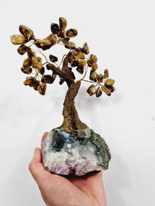 Tiger Eye Gem Tree/Crystal Tree (M) 12 branches, 60 Crystals TR029