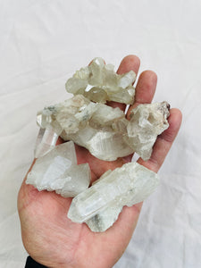 Himalayan quartz Pack Of 5 Crystal K151