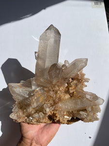 Himalayan Smoky Quartz Natural Q731