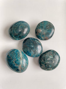 Blue Apatite Palm Stone Natural (L)