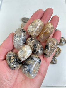 Dendric Agate tumbled stone Medium x 1 (30-45mm)