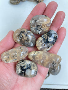 Dendric Agate tumbled stone Large x 1 (30-45mm)