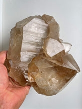 Load image into Gallery viewer, Himalayan Smokey Quartz Record Keeper Crystal Natural Q306
