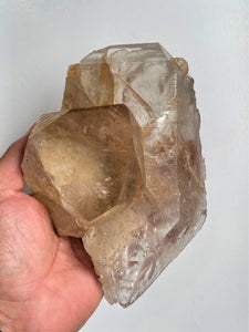 Himalayan Smokey Quartz Record Keeper Crystal Natural Q307