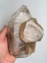 Load image into Gallery viewer, Himalayan Smokey Quartz Record Keeper Crystal Natural Q307
