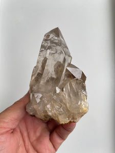 Himalayan Smokey Quartz Crystal Natural Q310