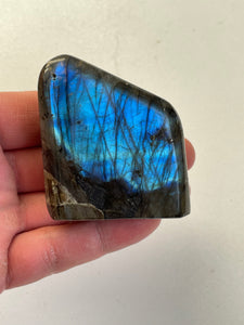 Blue Labradorite Free Form LA034