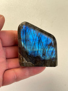 Blue Labradorite Free Form LA034